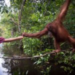Exploring Kuching with Hilton: A Once-In-A-Lifetime Experience with Nature