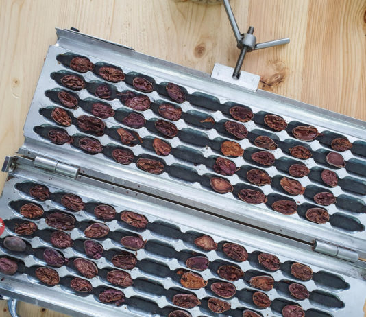 Bonaterra Borneo – Beans to Bar Borneo Chocolate