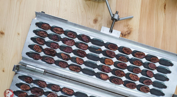 Bonaterra Borneo – Beans to Bar Borneo Chocolate