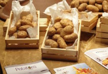 U.S. Fries Fiesta Debuts In Kota Kinabalu